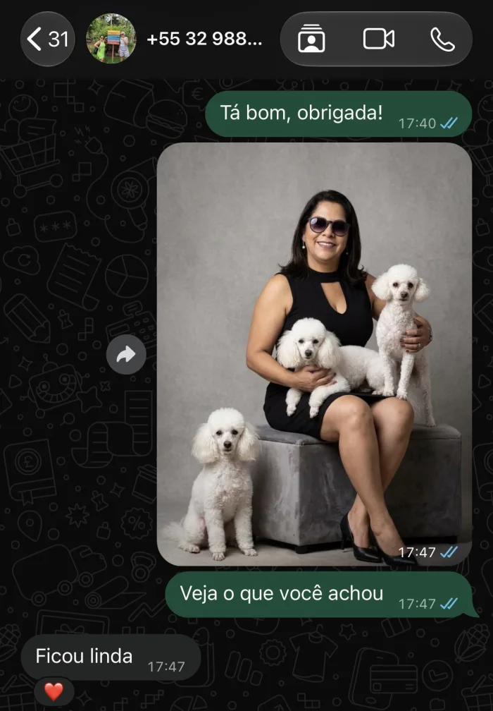 Print do WhatsApp com tutora e três poodles; a cliente responde: Ficou linda.